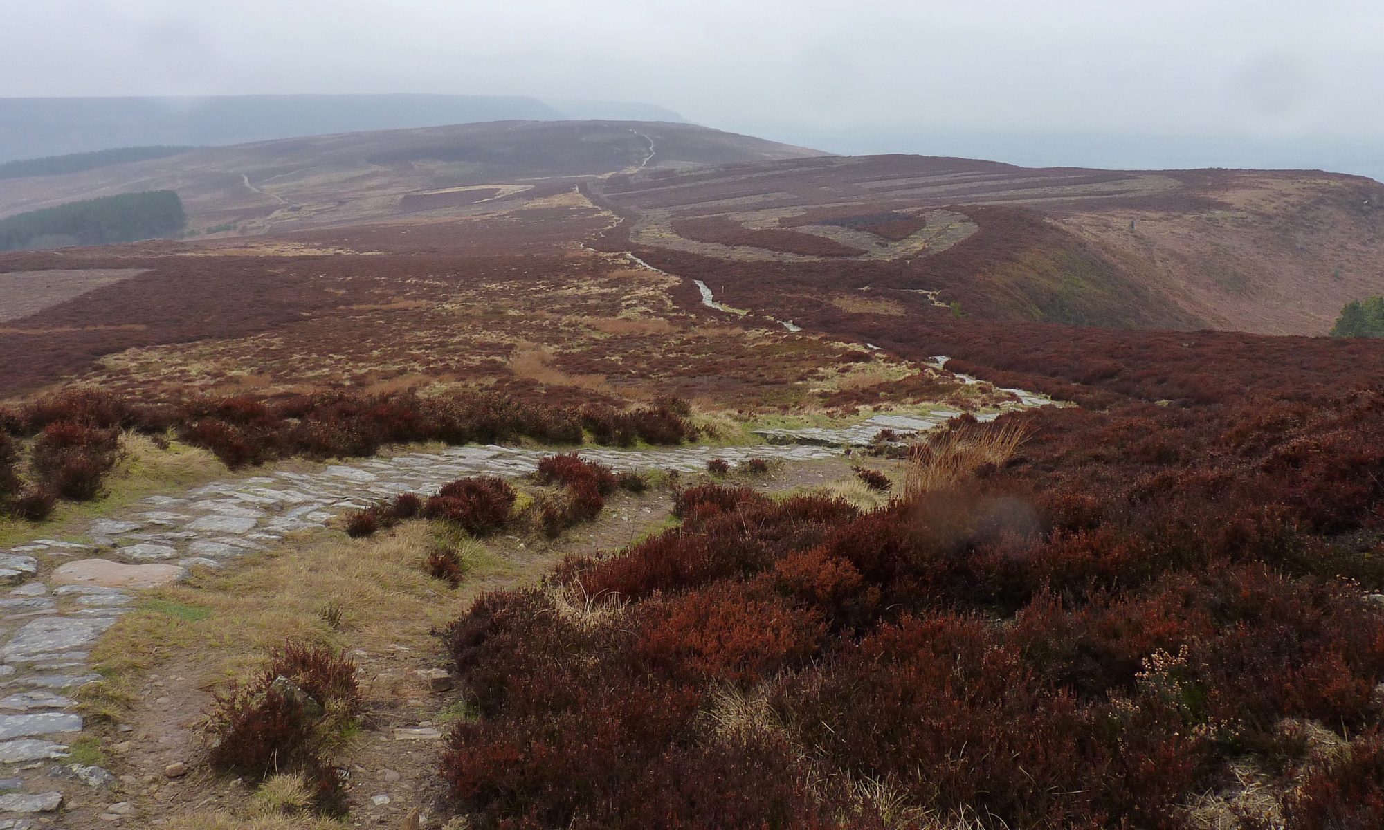 The path stretching out along the Cleveland Crest