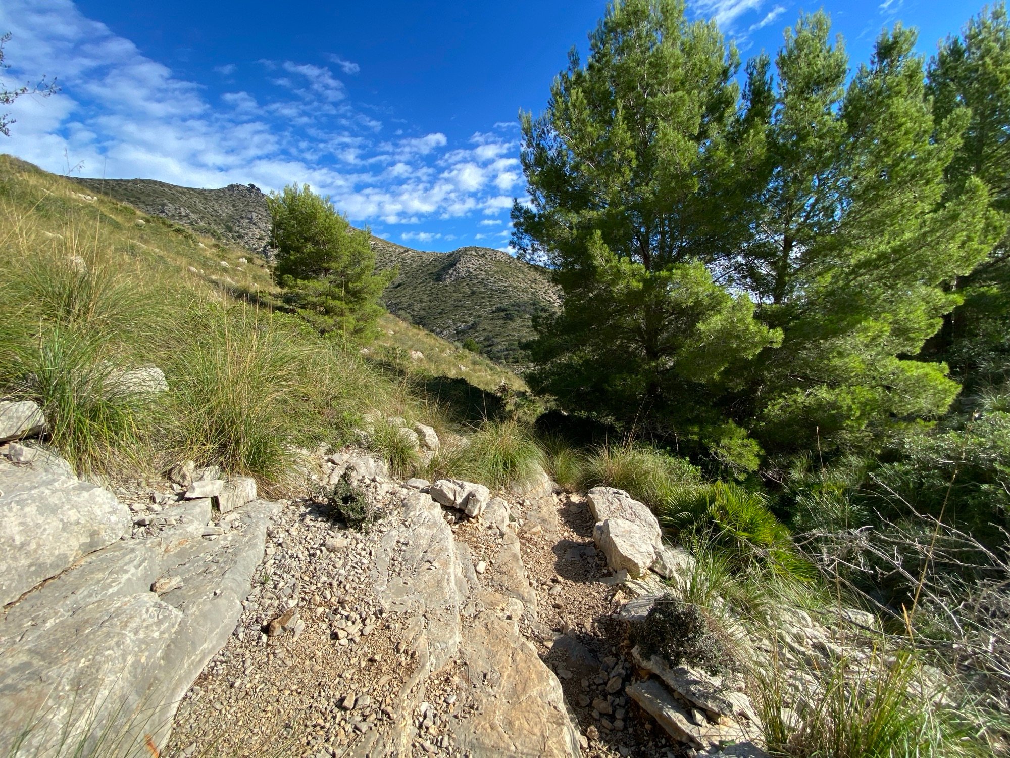 The trail down to the valley from Coll de na Benet