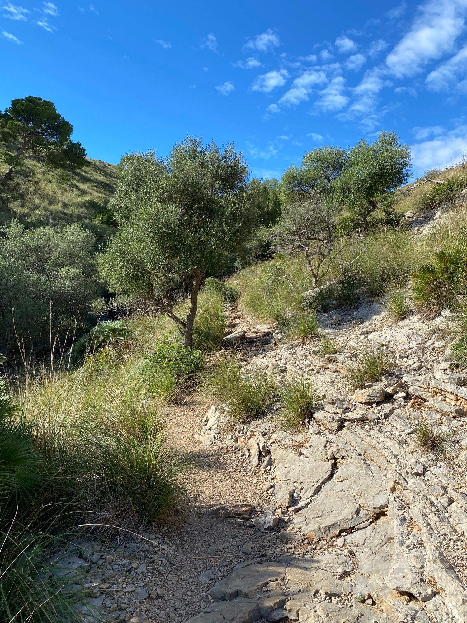 The trail down to the valley from Coll de na Benet